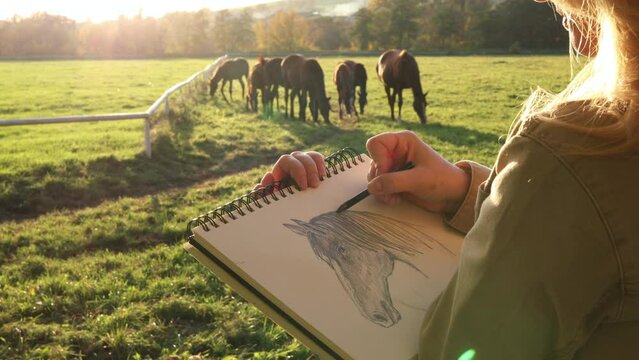 Woman artist sketching horse in autumn outdoors. Pencil drawing in plein air