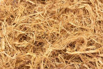 Dried Organic Glycyrrhiza glabra