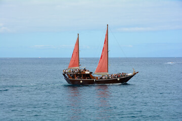 Fototapeta na wymiar A sailboat with tourists on board at sea