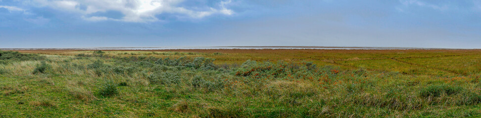 View over the wetlands of Lauwersmeer, The Netherlands