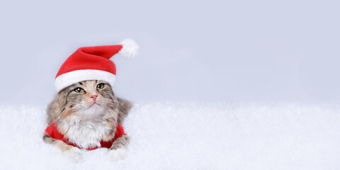 Kitten rests on white snow. Cat 
in Santa costume looks at the camera. Kitten on a white background. Merry Christmas. Web banner. Cat in a xmas red hat. Holiday background. Empty space for text. 2023