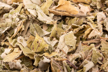 Dried Tussilago farfara