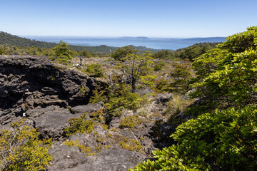 Fototapeta premium View from the Volcanic Caves Park (at the foot of Villarrica volcan) to the Villarrica lake in Chile 