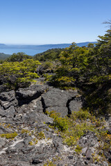 View from the Volcanic Caves Park (at the foot of Villarrica volcan) to the Villarrica lake in Chile 