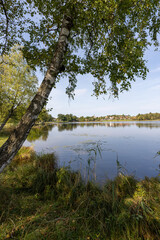 Lake in a autumn landscape 