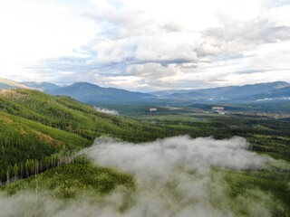 Montana forest near West Glacier