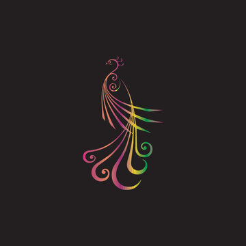 Colorful peacock on black background, vector image