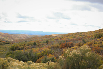 Wide autumn landscape in Mesa Verde, Colorado