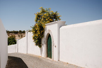 Green wooden door with stone frame and white facade with yellow flowers, in Tavira, Algarve of Portugal.