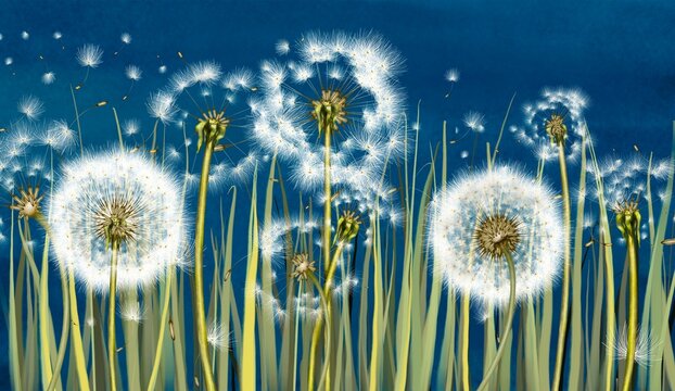 3d mural interior wallpaper.Many dandelions with green grass on deep blue watercolor background with fly flower.Wall art for living room decor.Floral trendy background in vintage style for fabric © StasySin