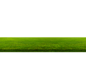 Artificial fresh green grass a texture