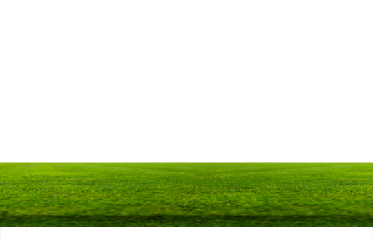 Artificial fresh green grass a texture