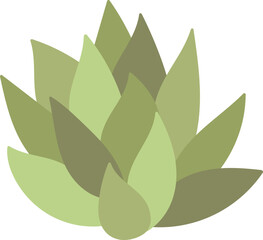 Succulent for terrarium flat icon Houseplant decor element