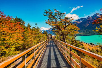 View over big Perito Moreno glacier in Patagonia with blue sky and turquoise water glacial lagoon, and a modern metal walking path for tourists, South America, Argentina, in Autumn colors