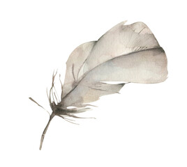 Watercolor feather clipart. Bohemian illustrations, soft png painting. © ArtMaslyana