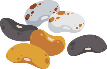 Haricot flat icon Agriculture Plants cultivation