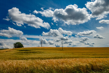 Strommasten im Feld