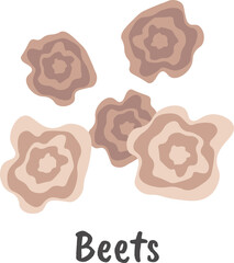 Beets seeds flat icon Agriculture Plants cultivation