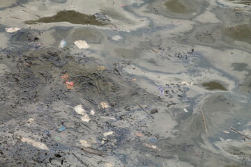 polluted sea water