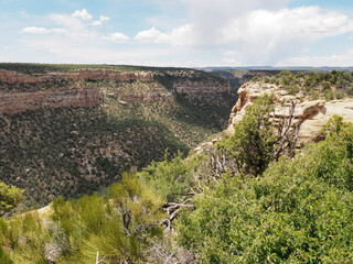 Fototapeta na wymiar desert canyon