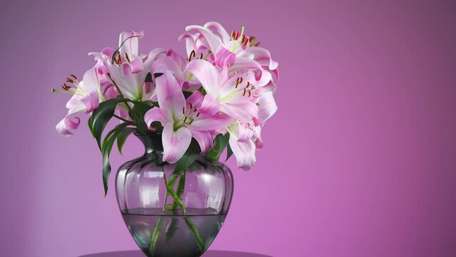 Beautiful lily flowers bouquet in a glass vase. Lillies. Pink lilies rotating. Big bunch of fresh fragrant lilies purple background