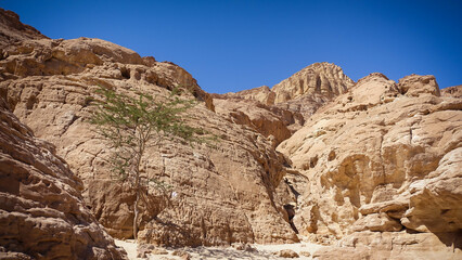 Fototapeta na wymiar Desert landscapes Israel Eilat