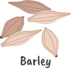 Barley grain flat icon Cereal grain Agriculture