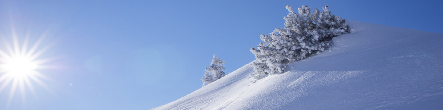 Banner 4:1 With Mountain Landscape, Icy Mountain Pine And Blinding Sun