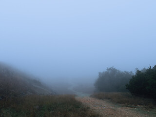Fototapeta na wymiar Foggy outdoor scene with hills and trails
