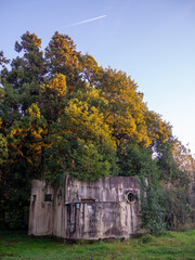 Concrete building in the forest. Bunker among the trees. Sturdy abandoned building.
