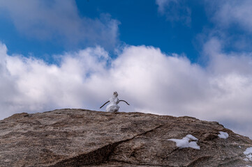 Mini Snowman on a Rock