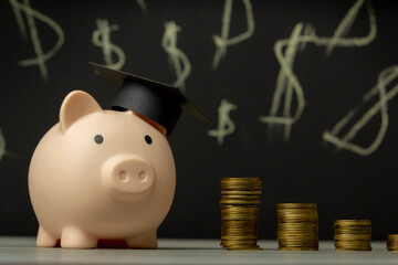 Piggy bank with money stack step up growing growth saving money, Concept financial business investment. Copy space