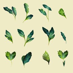 leaf set for editorial designs