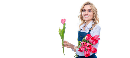 happy young woman in apron hold spring tulip flowers isolated on white background. Woman isolated face portrait, banner with mock up copy space.