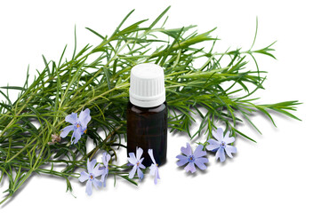Rosemary essential oil, Aromatherapy Oil