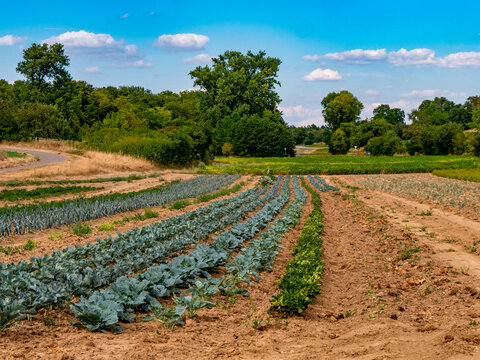 Folientunnel 이미지 – 찾아보기 473 스톡 사진, 벡터 및 비디오 | Adobe Stock