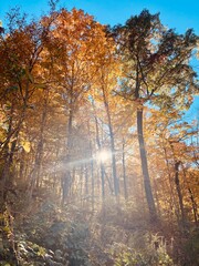 Waterfall Glen autumn