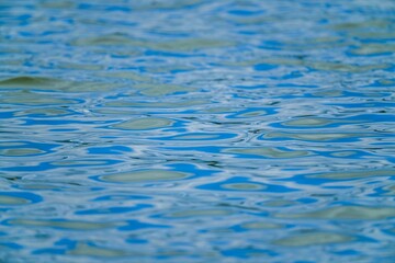 青空映す水面の模様