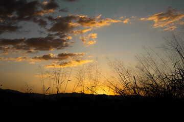 atardecer en el cañal