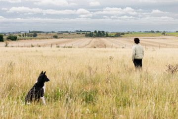 Fototapeta na wymiar a man and his dog look at the landscape, a beautiful yellow field disappears into the horizon with clouds