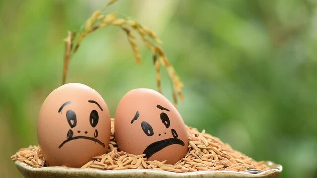 Sad egg face and paddy after the flooding.