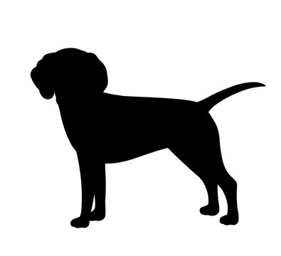 Cute dog silhouette. Charming and adorable character, strong pet standing. Biology, nature and mammal. Poster or banner for website. Friend of human, domestic. Cartoon flat vector illustration