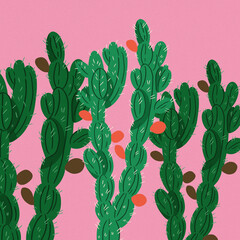 many cactus pink background