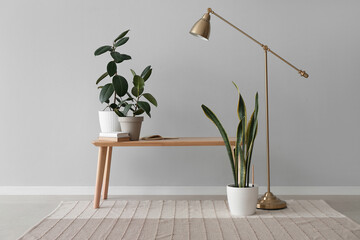 Bench with houseplants, books and lamp near light wall