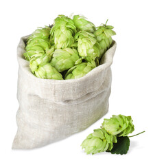 Sack with fresh green hops on white background