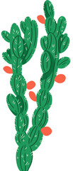 cactus 'mandacaru' transparent background
