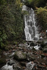 Obraz premium Picturesque view of beautiful mountain waterfall, green plants and rocks outdoors