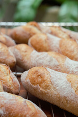 Still life with French fresh bread. French baguettes with wooden cutting board and baking tray.