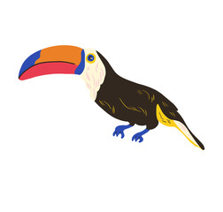 black toucan "tucano" transparent background © Sophia Andreazza