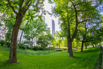 Fototapeta na wymiar Manhattan skyline and Central Park, New York City, United States.